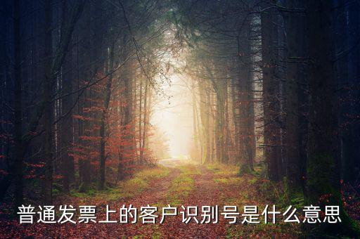 普通發(fā)票上的客戶識別號是什么意思