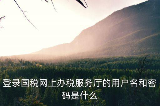 登錄國(guó)稅網(wǎng)上辦稅服務(wù)廳的用戶名和密碼是什么