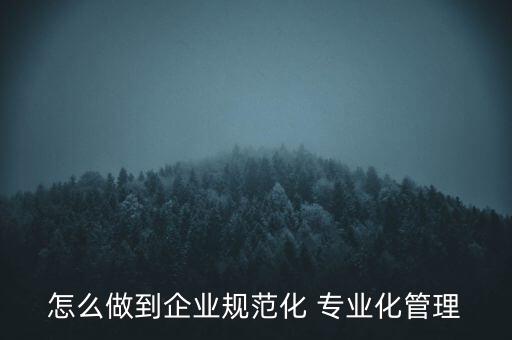 專業(yè)化公司如何管理，專業(yè)化企業(yè)的建議