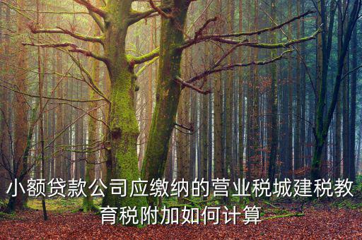 小額貸款公司如何繳稅，小額貸款公司的營業(yè)稅怎么算 sitewenwensosocom