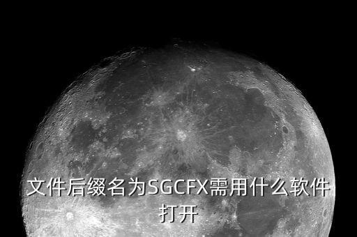 稅收調(diào)查用什么程序打開，文件后綴名為SGCFX需用什么軟件打開