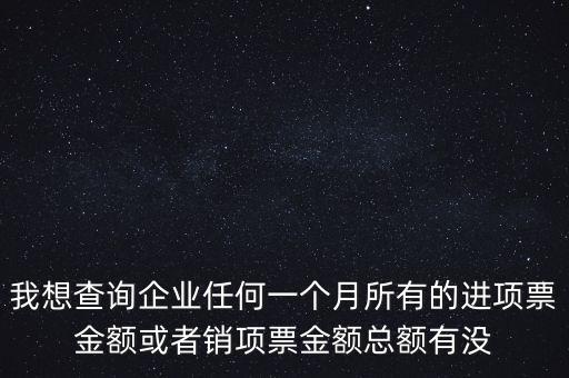 我想查詢企業(yè)任何一個(gè)月所有的進(jìn)項(xiàng)票金額或者銷項(xiàng)票金額總額有沒