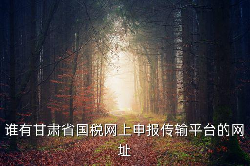 誰有甘肅省國稅網(wǎng)上申報(bào)傳輸平臺的網(wǎng)址