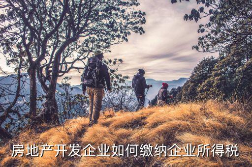 房地產(chǎn)企業(yè)如何申報(bào)稅，房產(chǎn)稅怎么申報(bào)