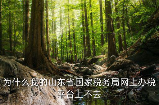 為什么我的山東省國家稅務局網(wǎng)上辦稅平臺上不去