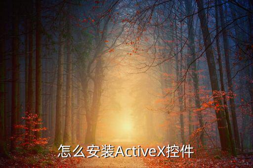 如何安裝scriptx，怎么安裝ActiveX控件