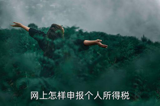 網(wǎng)上怎樣申報個人所得稅