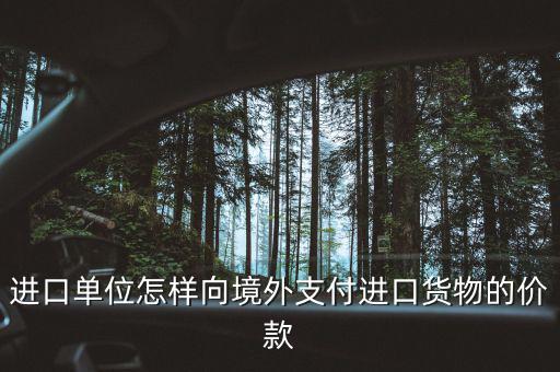 企業(yè)如何境外付款嗎，進口單位怎樣向境外支付進口貨物的價款