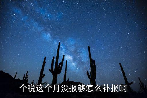 如何補(bǔ)報(bào)個(gè)人所得稅，個(gè)人所得稅報(bào)錯(cuò)了怎么補(bǔ)報(bào)