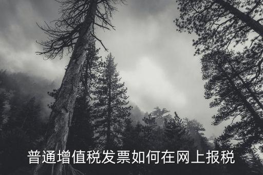 普通增值稅發(fā)票如何在網(wǎng)上報(bào)稅