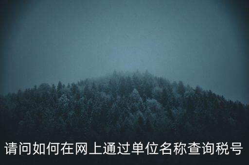 請(qǐng)問如何在網(wǎng)上通過單位名稱查詢稅號(hào)