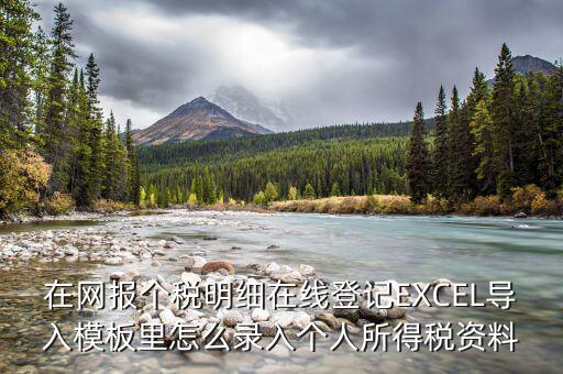 北京個(gè)稅明細(xì)申報(bào)如何導(dǎo)入，在網(wǎng)報(bào)個(gè)稅明細(xì)在線登記EXCEL導(dǎo)入模板里怎么錄入個(gè)人所得稅資料