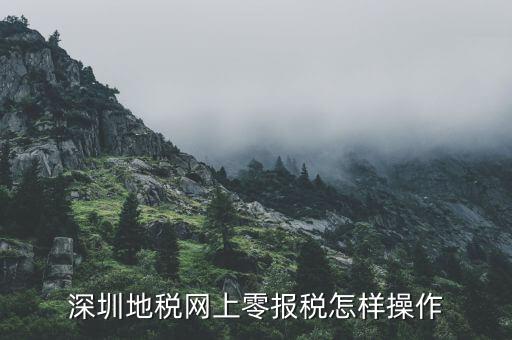 深圳地稅網(wǎng)上零報(bào)稅怎樣操作