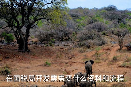 國(guó)稅局批票如何辦理，在國(guó)稅局開發(fā)票需要什么資料和流程