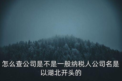 如何查詢企業(yè)是否是一般納稅人，怎么查公司是不是一般納稅人公司名是以湖北開頭的