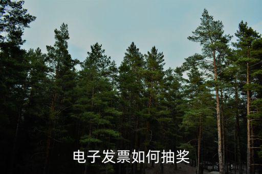 發(fā)票如何登記抽獎，發(fā)票怎么抽獎