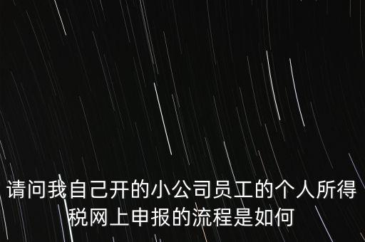 請問我自己開的小公司員工的個人所得稅網(wǎng)上申報的流程是如何