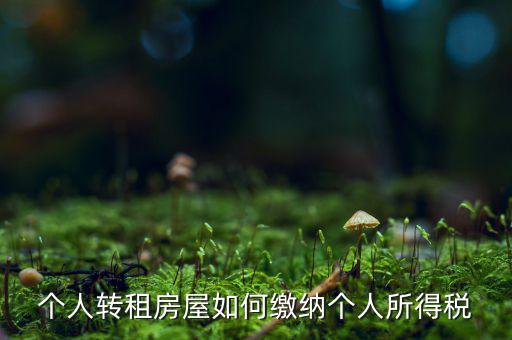 個人轉(zhuǎn)租房屋如何繳納個人所得稅