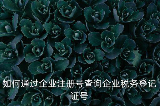 如何通過企業(yè)注冊(cè)號(hào)查詢企業(yè)稅務(wù)登記證號(hào)