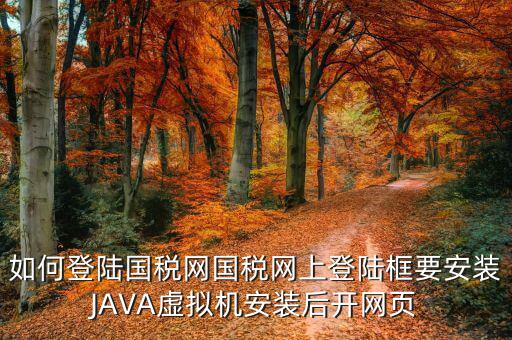 如何登陸國稅網(wǎng)國稅網(wǎng)上登陸框要安裝JAVA虛擬機(jī)安裝后開網(wǎng)頁