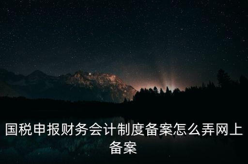 國稅申報(bào)財(cái)務(wù)會計(jì)制度備案怎么弄網(wǎng)上備案