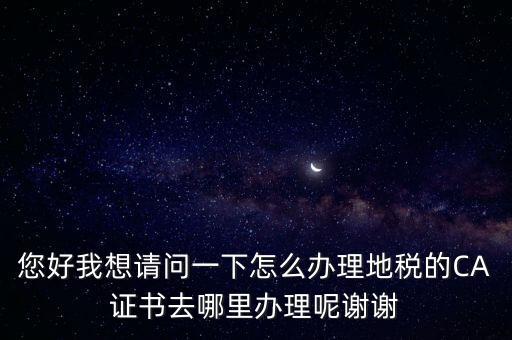 您好我想請(qǐng)問一下怎么辦理地稅的CA證書去哪里辦理呢謝謝