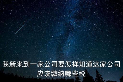 如何查稅種，我新來到一家公司要怎樣知道這家公司應(yīng)該繳納哪些稅