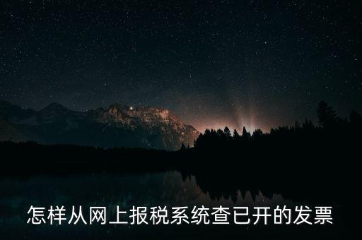 怎樣從網(wǎng)上報(bào)稅系統(tǒng)查已開(kāi)的發(fā)票