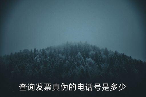 電話如何查詢發(fā)票真?zhèn)尾樵?，查詢發(fā)票真?zhèn)蔚碾娫捥柺嵌嗌?/></a></span><span id=