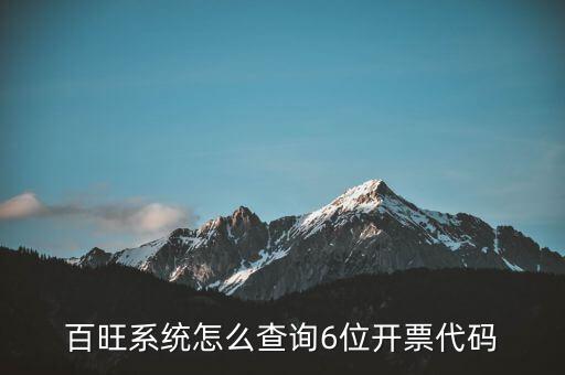 百旺系統(tǒng)怎么查詢6位開(kāi)票代碼