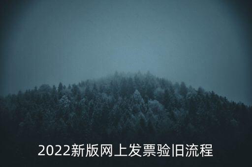 2022新版網上發(fā)票驗舊流程