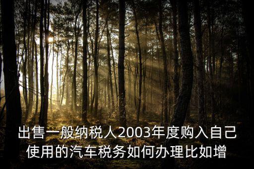 出售一般納稅人2003年度購(gòu)入自己使用的汽車稅務(wù)如何辦理比如增