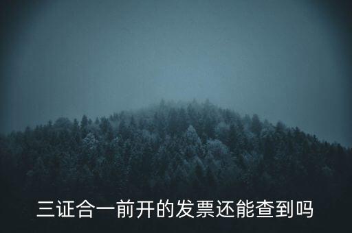 三證合一前開的發(fā)票還能查到嗎