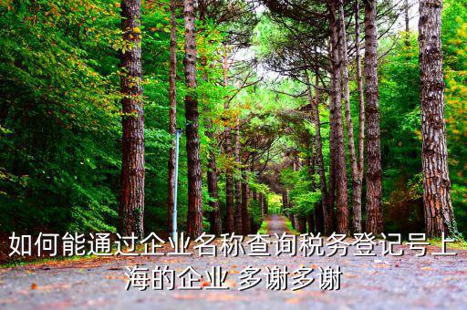 如何查詢稅務登記號碼，如何能通過企業(yè)名稱查詢稅務登記號上海的企業(yè) 多謝多謝