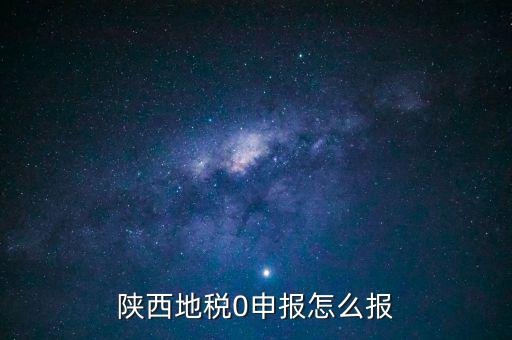 陜西地稅0申報怎么報