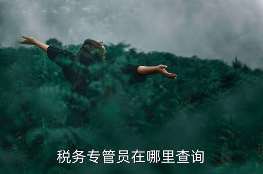 北京如何查詢稅務(wù)專管員，如何在網(wǎng)上查詢國稅專管員