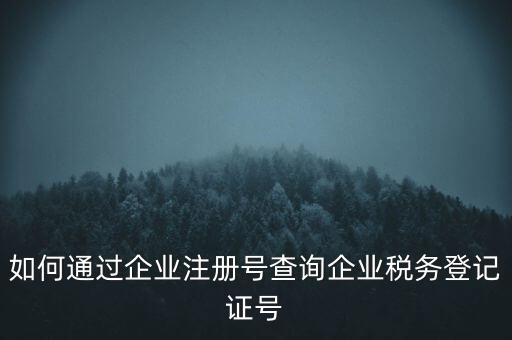 如何查詢公司稅務(wù)編號(hào)查詢系統(tǒng)，公司的稅務(wù)登記證號(hào)怎么查詢