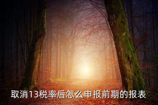 取消13稅率申報表如何填，13的稅率沒了納稅申報以后怎么辦