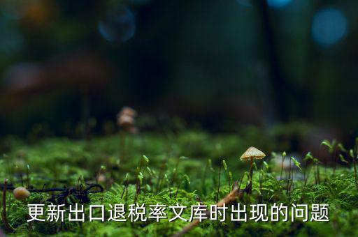 出口退稅文庫如何更新，請問各位出口退稅系統(tǒng)里的代碼庫怎么更新啊怎么老沒反應(yīng)的呢