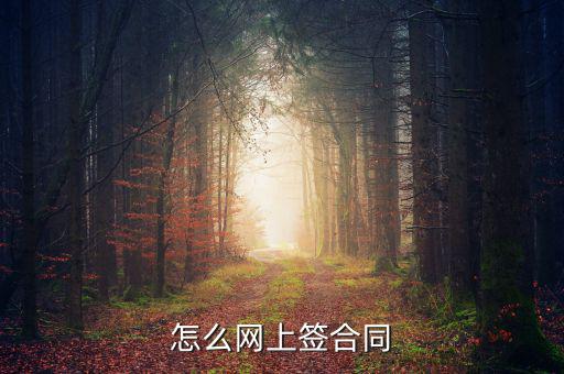 怎么網(wǎng)上簽合同