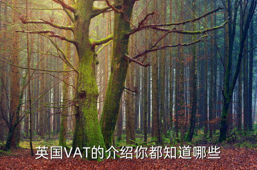 英國VAT的介紹你都知道哪些