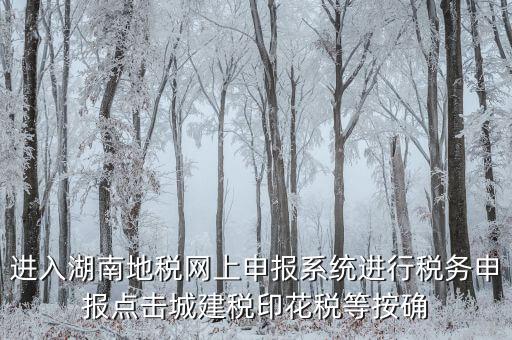 湖南省地稅局個(gè)人如何注冊(cè)，湖南地稅網(wǎng)上申報(bào)系統(tǒng)