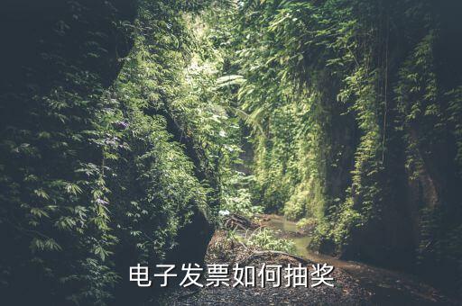 電子發(fā)票如何抽獎