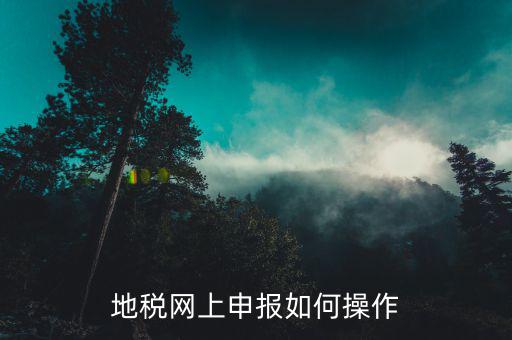 地稅網(wǎng)上申報如何操作