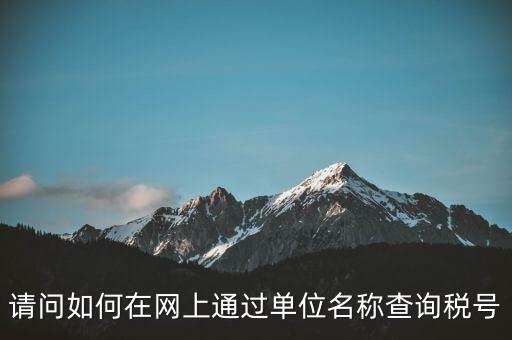 稅號如何查詢網(wǎng)站，怎么在網(wǎng)上查企業(yè)稅號