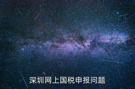 深圳網上國稅申報問題