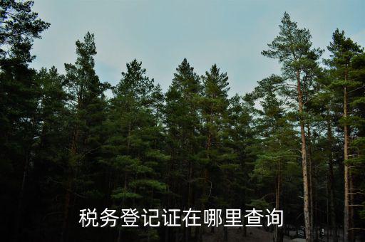 如何查地稅證書，如何查看個人名下的稅務(wù)證