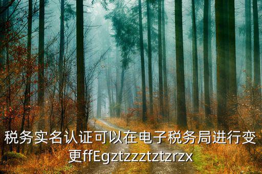 稅務(wù)實名認(rèn)證可以在電子稅務(wù)局進行變更ffEgztzzztztzrzx