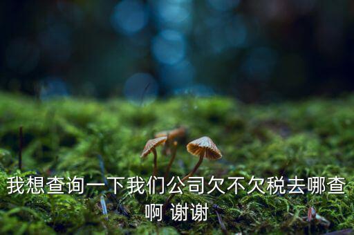 我想查詢一下我們公司欠不欠稅去哪查啊 謝謝