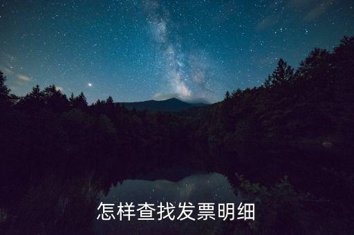 怎樣查找發(fā)票明細(xì)